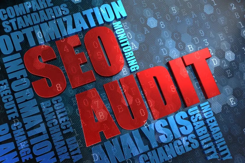 SEO Bacau audit site